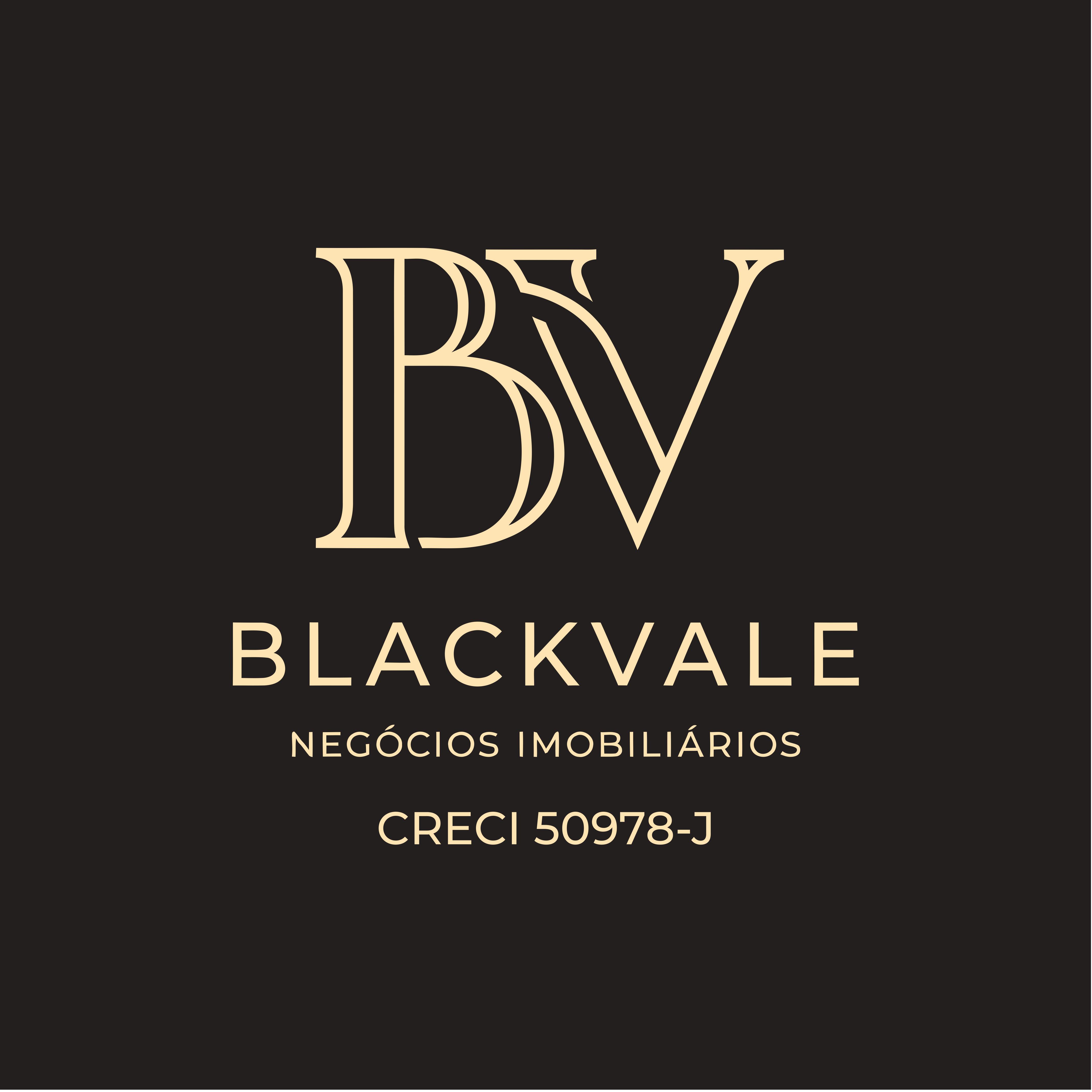 Black Vale Negócios Imobiliários capa