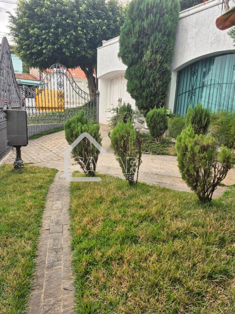 WhatsApp Image 2025-11-13 at 12.00