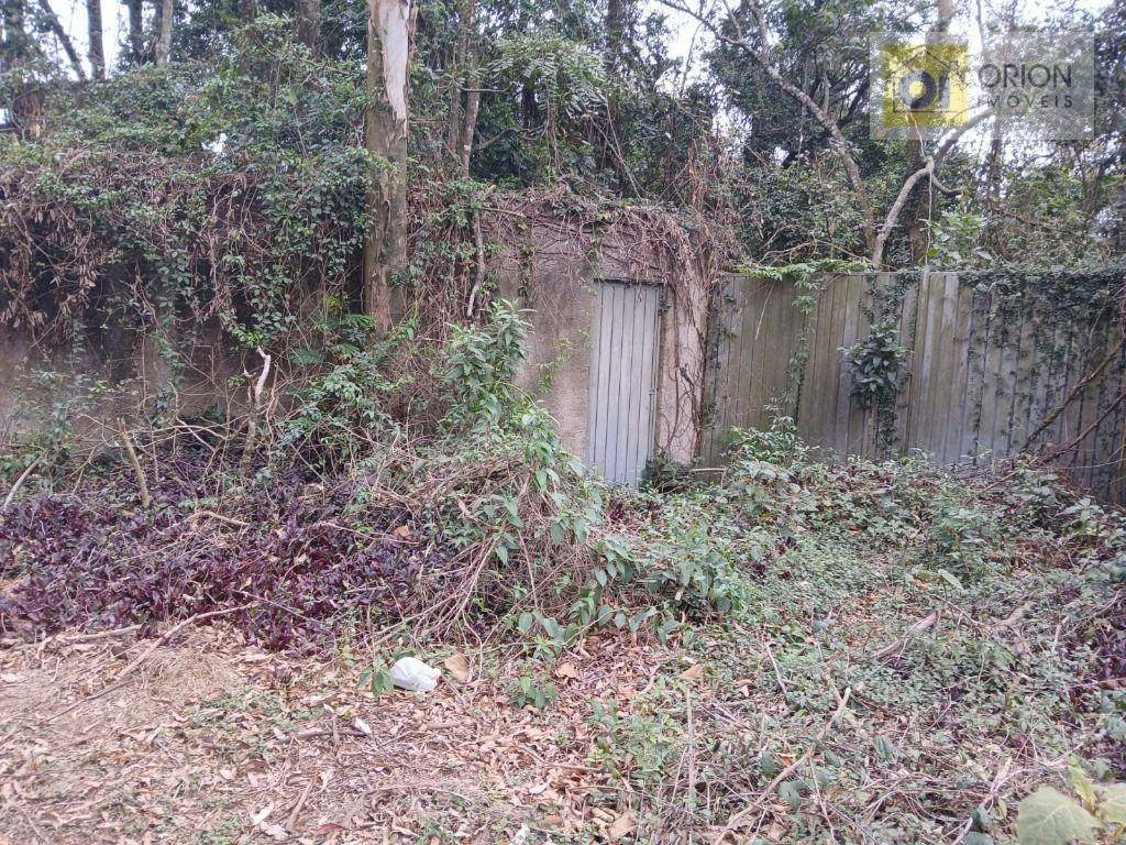 image-0