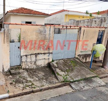 land_lot em Álvares Afonso, Parque Vitória - São Paulo - SP