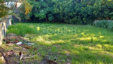 land_lot em Avenida das Pitangueiras, Daniela - Florianópolis - SC