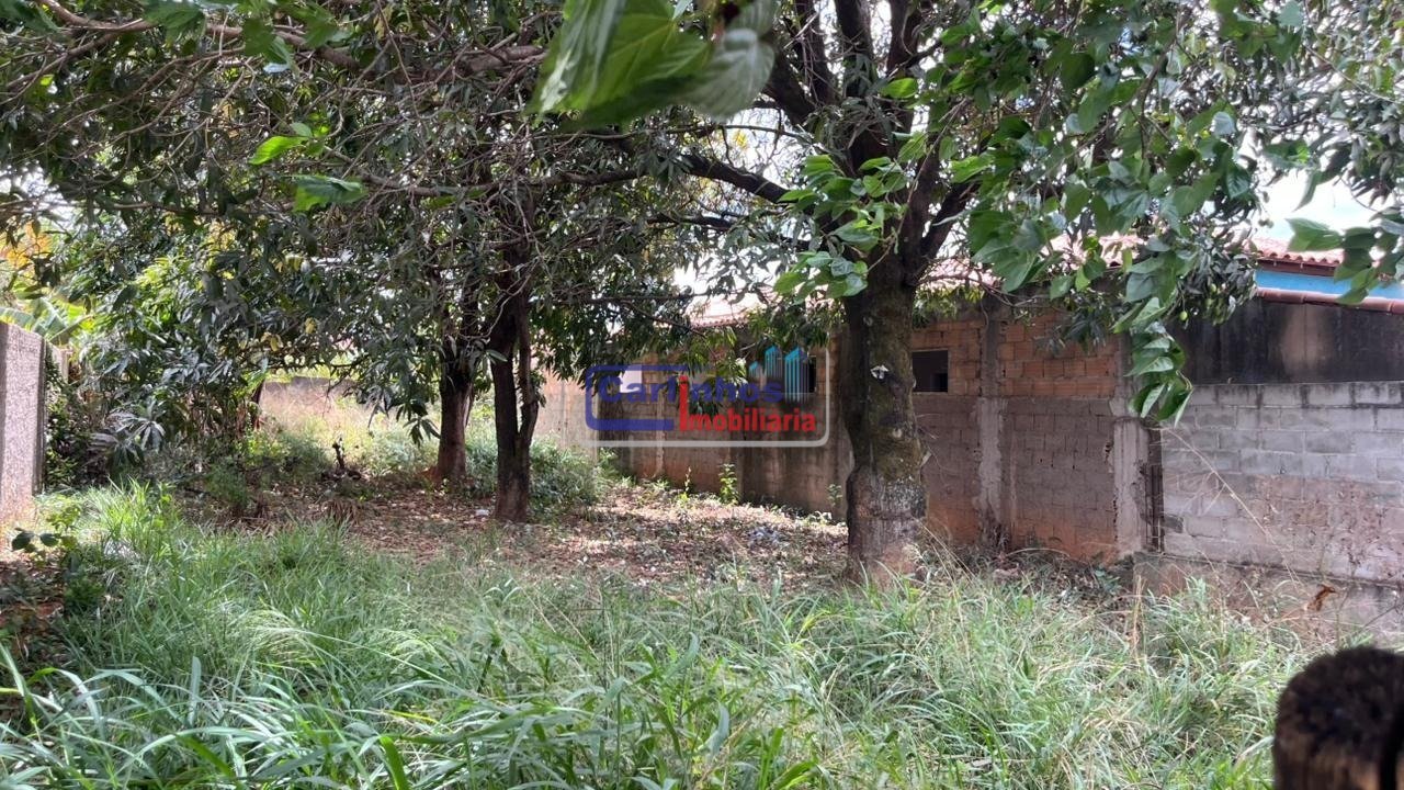 WhatsApp Image 2025-10-06 at 16.43