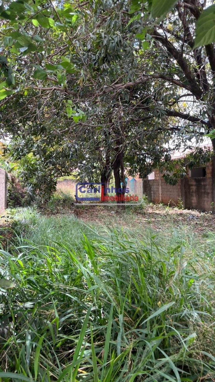 WhatsApp Image 2025-10-06 at 16.43