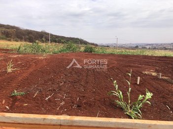 land_lot em Rua Catorze, Fazenda Santa Rita do Picadão - Ribeirão Preto - SP