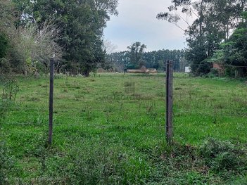 land_lot em Rua Sérgio Paines, Pains - Santa Maria - RS
