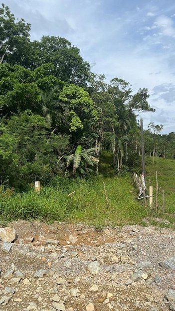 land_lot em Paulo Roberto Vidal, Bela Vista - Palhoça - SC