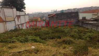 land_lot em Deputado Emílio Carlos, Limão - São Paulo - SP