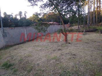 land_lot em Rua Accácio de Oliveira Pinto, Chácara Santo Hubertus - São Paulo - SP