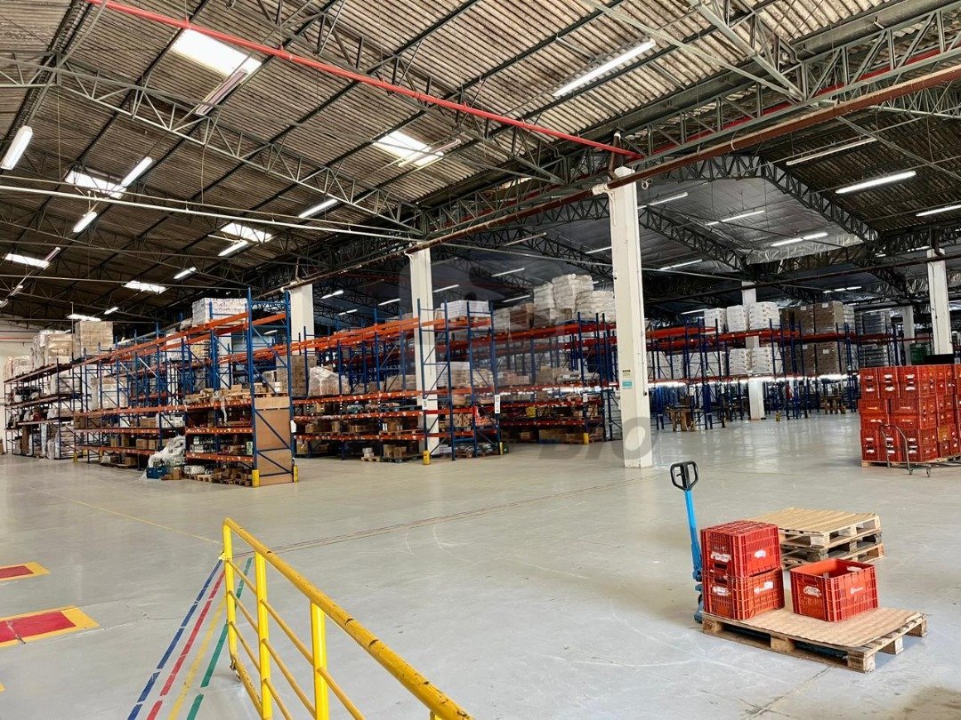 WhatsApp Image 2025-07-30 at 17.05