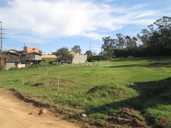 land_lot em Rua Linha Três Ribeirões, Liri - Içara - SC