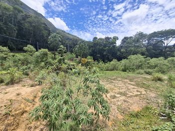 land_lot em Estrada Caxambu, Três Córregos - Teresópolis - RJ