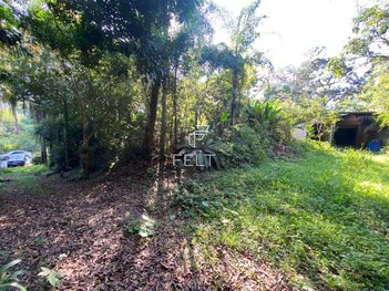 commercial_building em Leonel Martiniano, Chácara Maria Trindade - São Paulo - SP