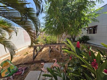 house em Rua Bétula, Pitimbu - Natal - RN