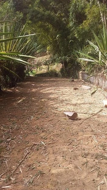 land_lot em Rua Doutor Hermogênio Silva, Retiro - Petrópolis - RJ