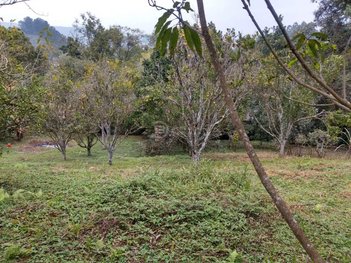 land_lot em Avenida Sandra, Rio Acima - Mairiporã - SP