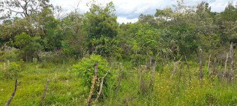 land_lot em Rua José Gattaz, Fazenda D'Oeste III - Araçoiaba da Serra - SP