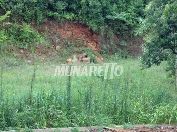 land_lot em Rua Leônidas Fávero, Arvoredo - Concórdia - SC