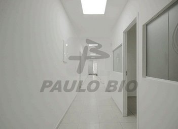 commercial_property em Paula Ferreira, Pirituba - São Paulo - SP