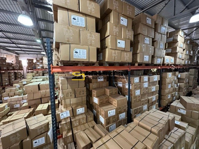 WhatsApp Image 2025-10-30 at 15.03