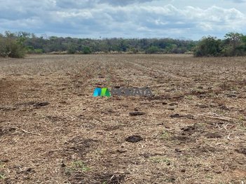 agricultural em Praça Mauá, Centro - Curvelo - MG