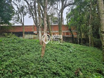 land_lot em Rua Rosa Ceronato Durigan, Cascatinha - Curitiba - PR