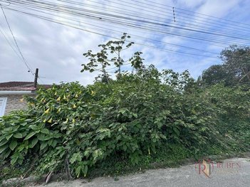 land_lot em Rua Lionesia Saula Piques, Maitinga - Bertioga - SP