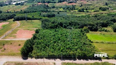 land_lot em Municipal Avelina Tomazzoni Piccoli, Monte Bérico - Caxias do Sul - RS