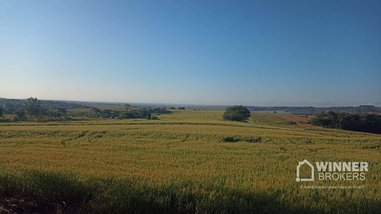 land_lot em Ramal P, Assis Chateaubriand - Assis Chateaubriand - PR