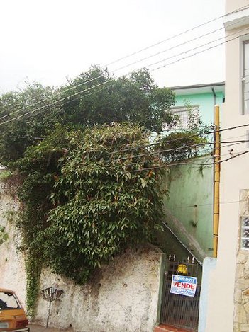 house em Rua Ivolândia, Jardim Marilu - São Paulo - SP