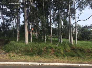 land_lot em Rua Alagoas, Rincão - Novo Hamburgo - RS