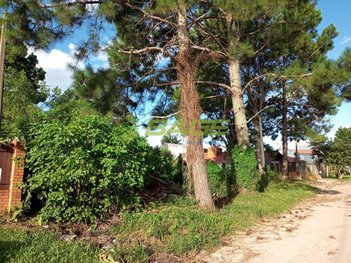 land_lot em Vila da Maia, Laranjal - Pelotas - RS