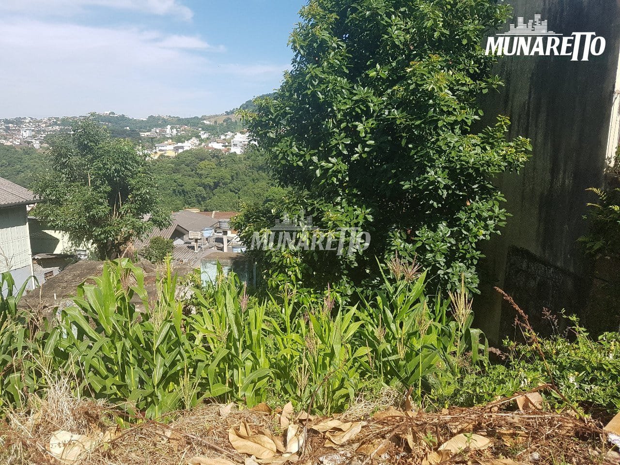 terreno-a-venda-443m-vista-alegre-concordia-sc1743627750933lsnid.jpg
