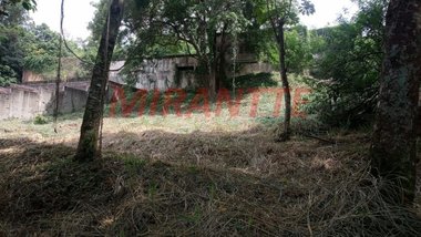 land_lot em Pedra Bonita, Vila Pedra Branca - São Paulo - SP