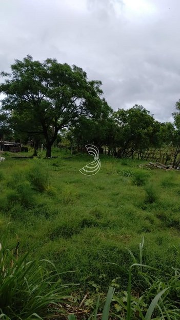 commercial_land_lot em Adolfo Fetter, Laranjal - Pelotas - RS