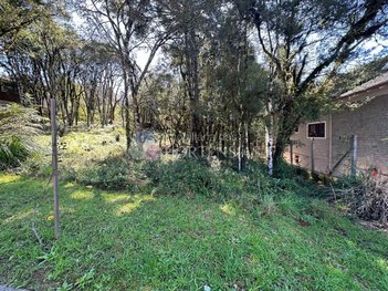land_lot em Rua Pessegueiro, Carniel - Gramado - RS