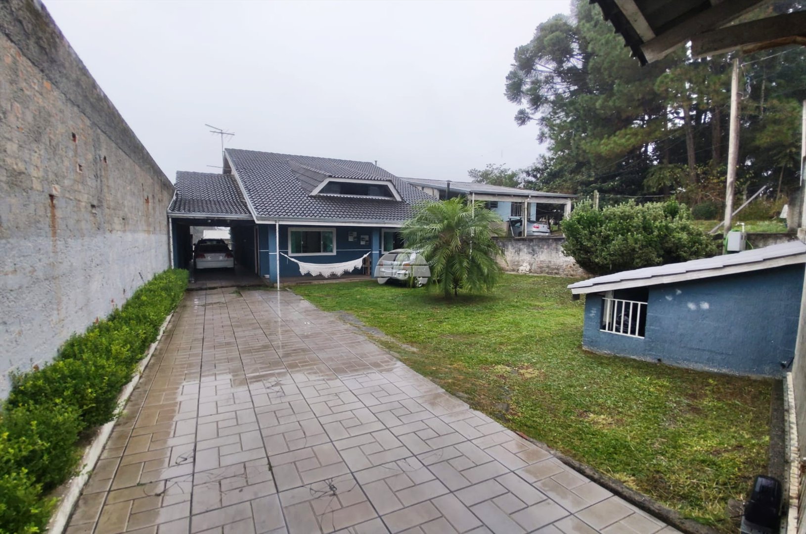 image-2