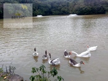 land_lot em Estrada Pau Furado, Jardim Atalaia - Cotia - SP