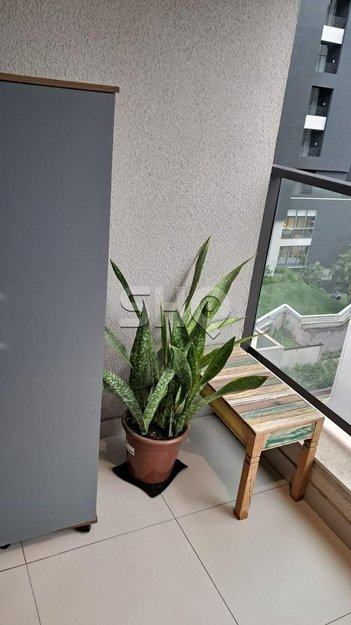 apartment em Rua Bartolomeu de Gusmão, Vila Mariana - São Paulo - SP