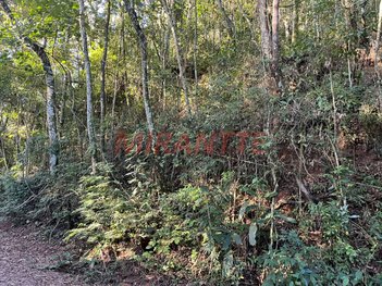 land_lot em Alameda São Carlos, Roseira - Mairiporã - SP
