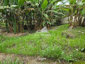 land_lot em Rua Sertao do Taquari, Taquari - Paraty - RJ