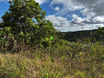 land_lot em Rua Três, Mariposas - Lagoa Santa - MG