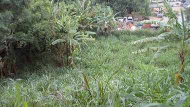 land_lot em Avenida Bandeirantes, Brigadeiro Tobias - Sorocaba - SP