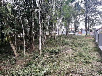land_lot em Rua Goiabeira, Carniel - Gramado - RS