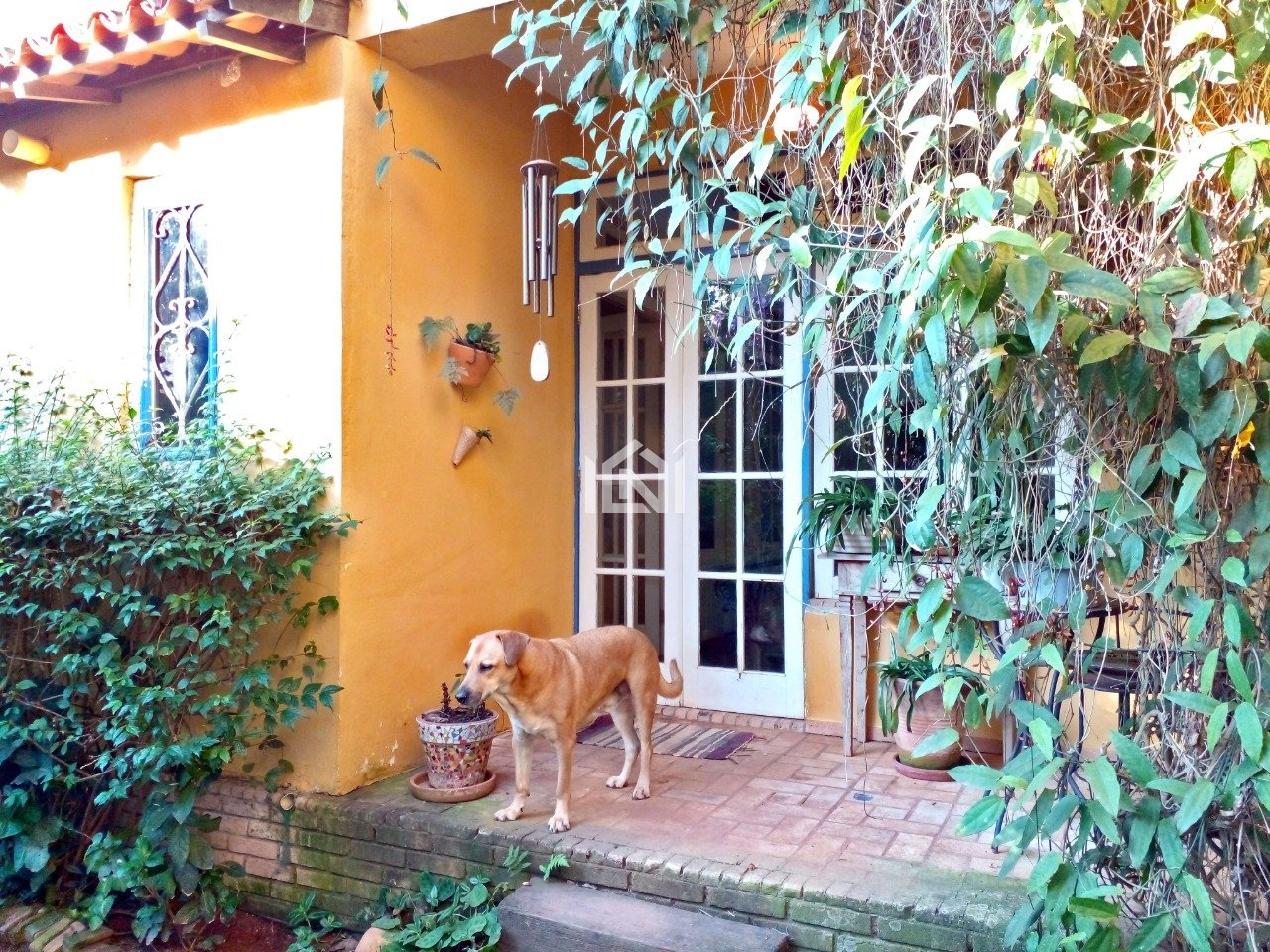 casa a venda na Granja Viana -  terraco sala