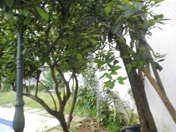 commercial_building em Rodrigues Batista, Jardim da Glória - São Paulo - SP