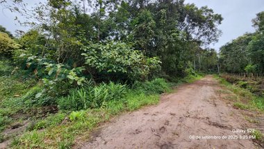 land_lot em Rua 2730 Panami, Pontal do Norte - Itapoá - SC