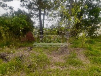 land_lot em Cecilia Meirelles, Veraneio Ijal - Jacareí - SP