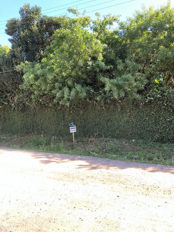land_lot em Rua Cidade de Viseu, Laranjal - Pelotas - RS