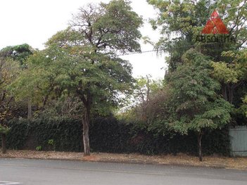 land_lot em Rua Dinamarca, Jardim Paulista - Americana - SP