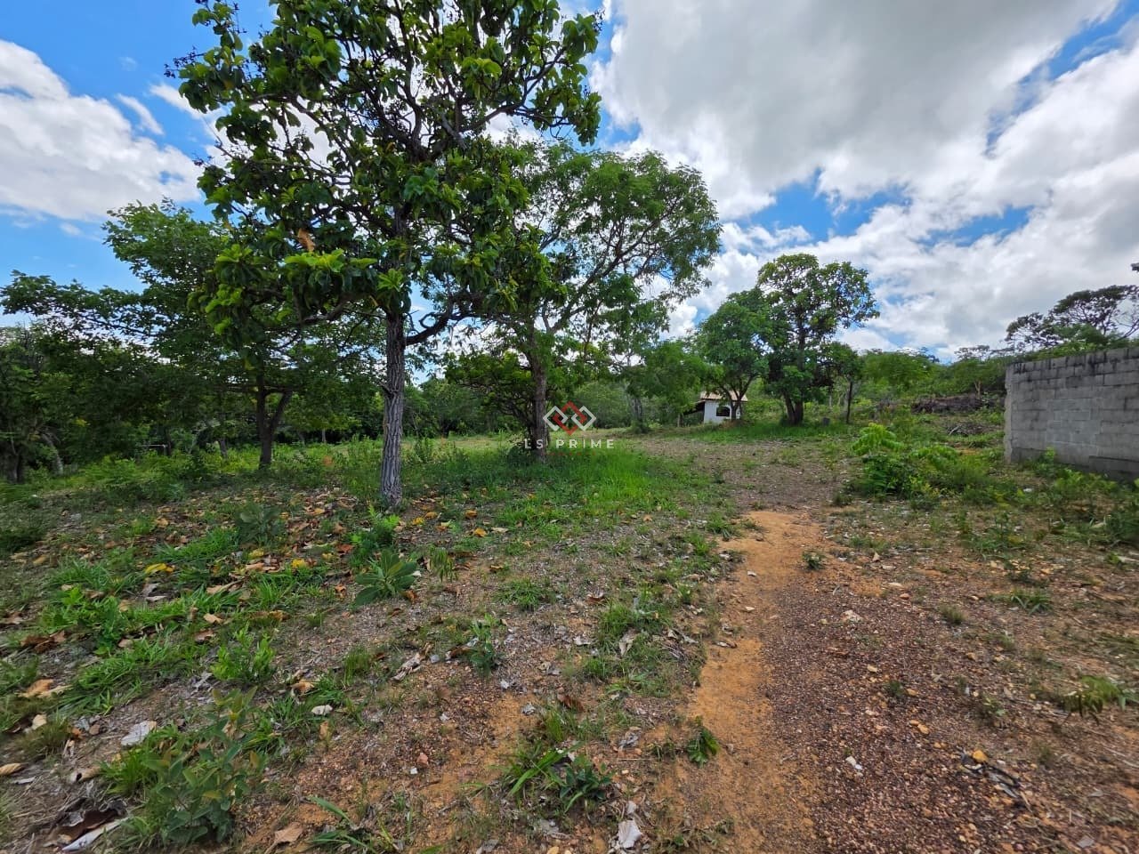 WhatsApp Image 2025-11-29 at 12.02